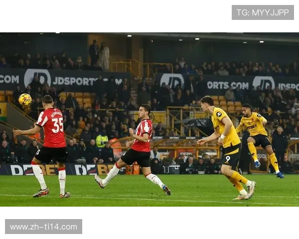 狼队前锋库尼亚在训练中肌肉不适,将接受进一步检查 狼队前锋库尼亚在训练中肌肉不适,将接受进一步检查